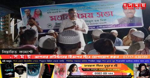 আ.লীগ সরকার মানেই উন্নয়ন : হালিমুল হক মিরু